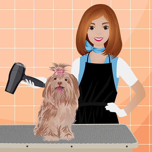 DOG GROOMING CAREER Dog Grooming career